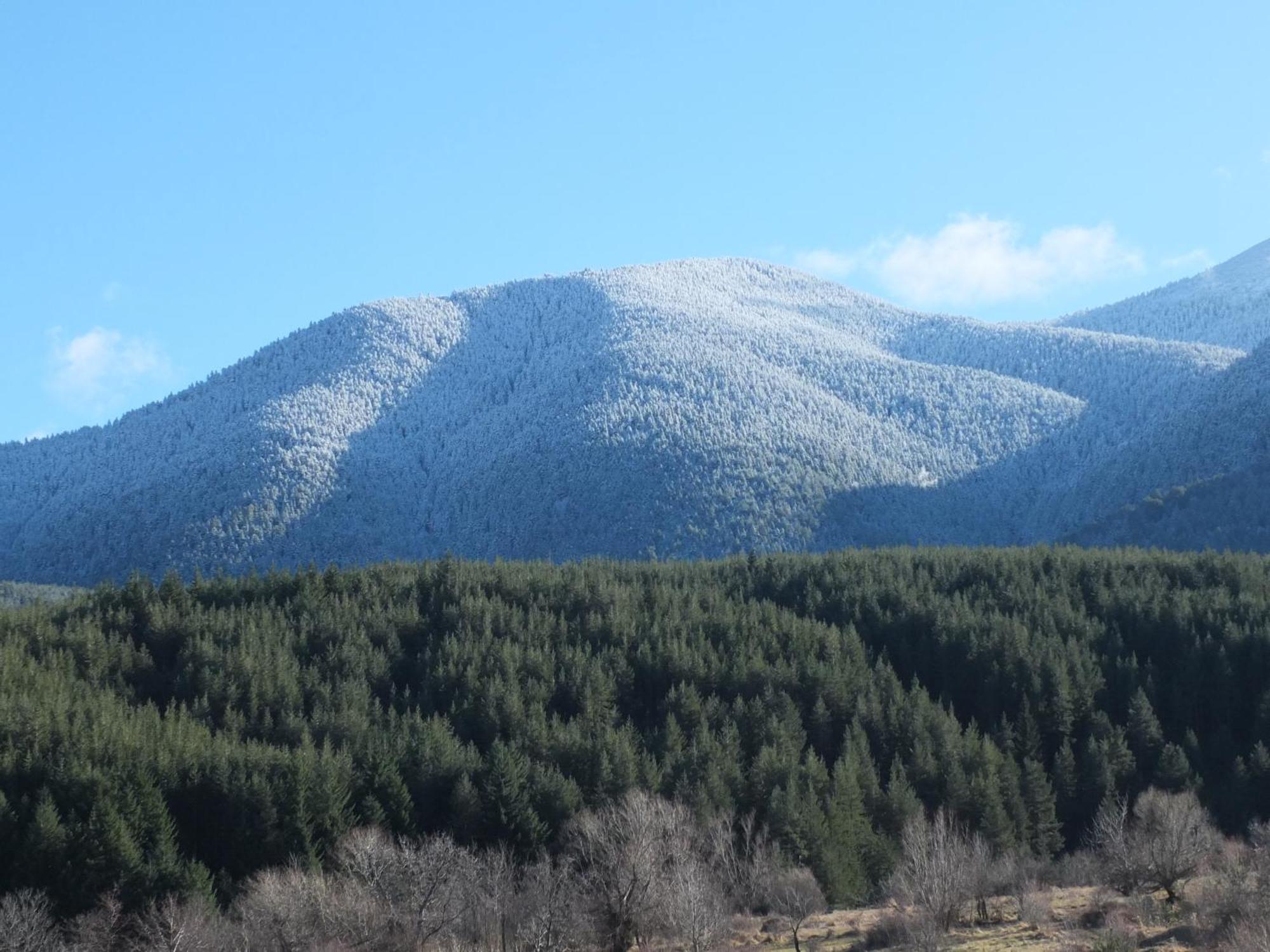 Pirin Heights A-21 близо до пистата Апартамент *